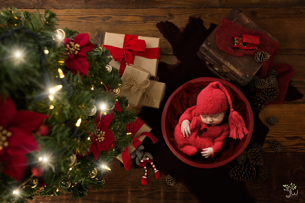 Tacoma baby photographer